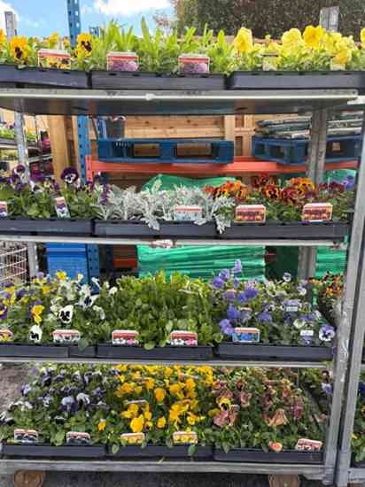 Garden supplies and plants displayed outside Cleeve Supplies